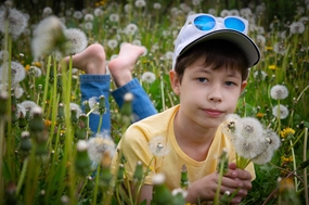 野生蒲公英草丛男孩写真摄影图片